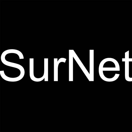 Surnet Insurance Group